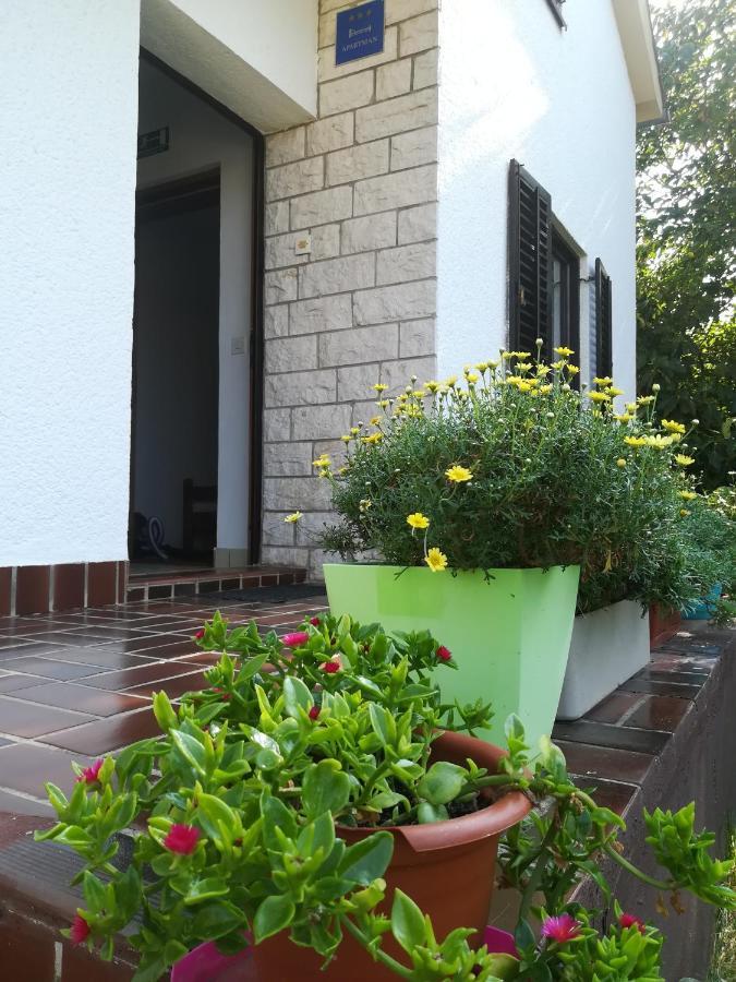 Apartments Eliva Umag Exterior photo